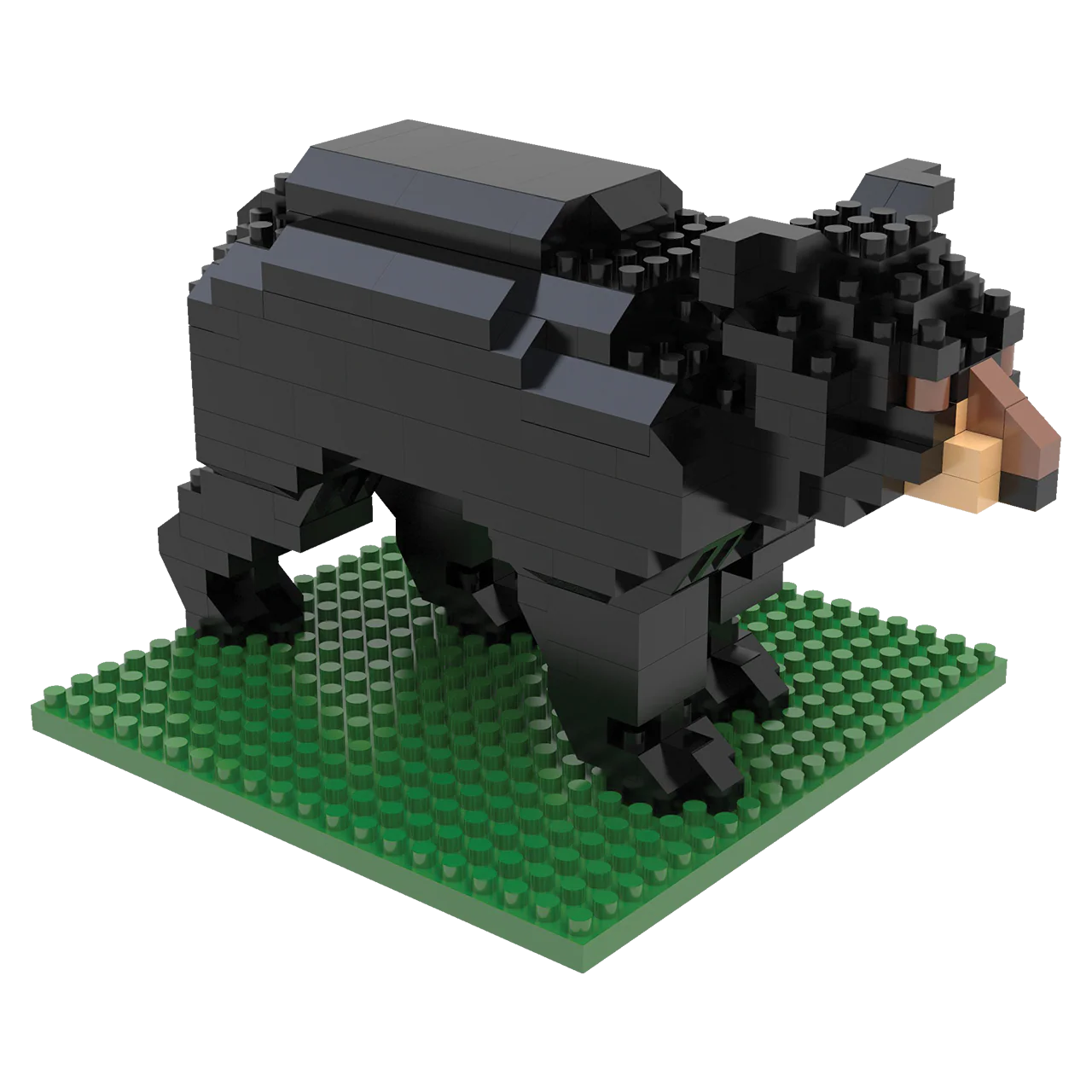 Thumbnail 7