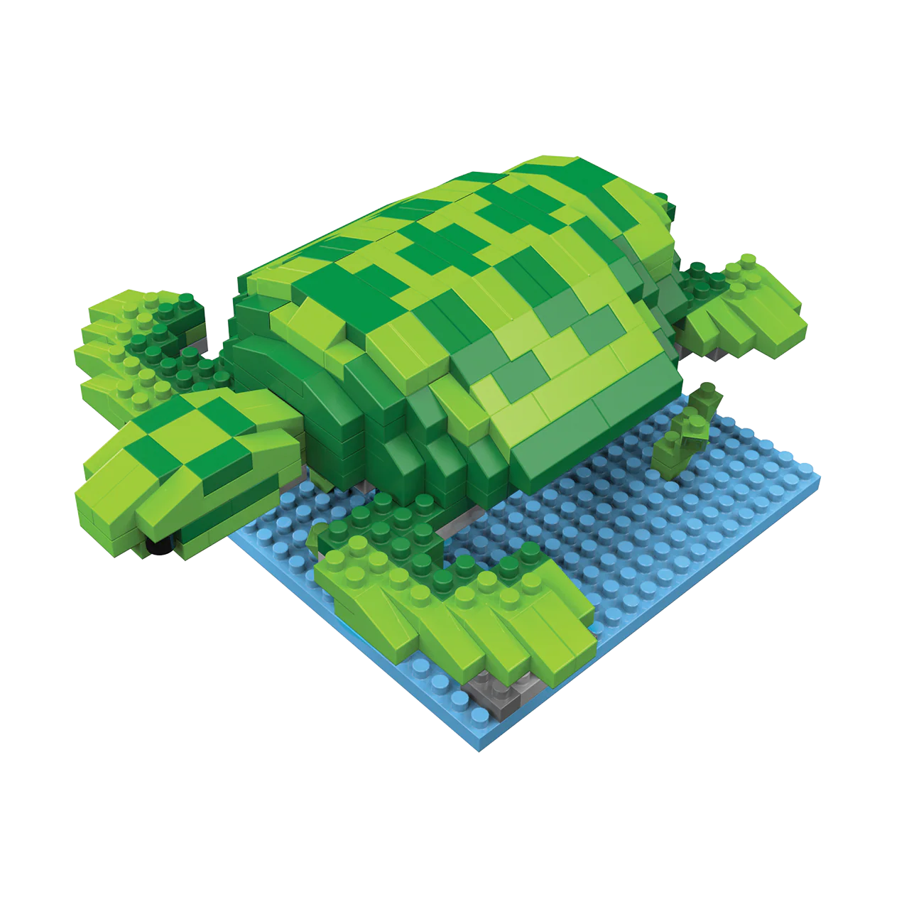 Thumbnail 7