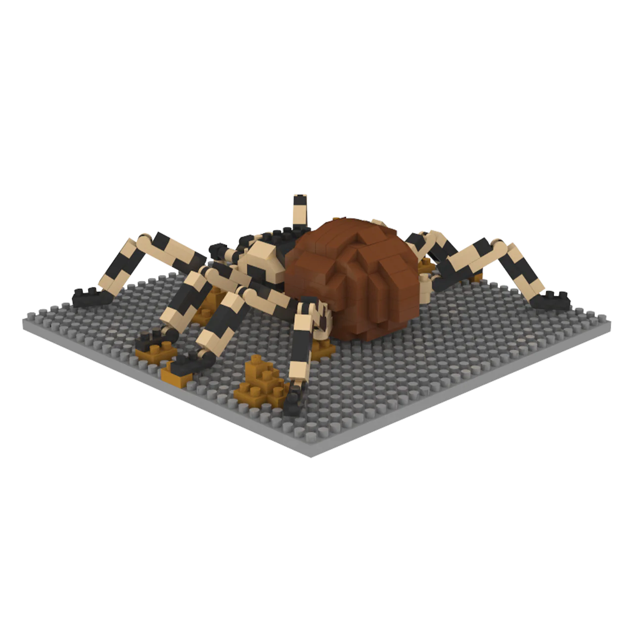 Thumbnail 6